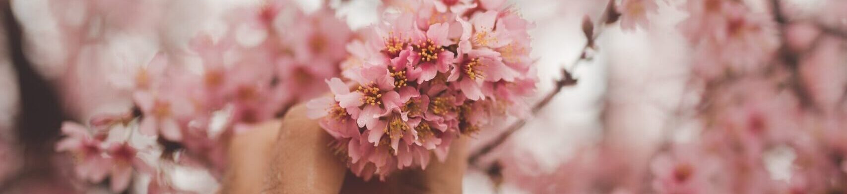 Kelly Pook Celebrant